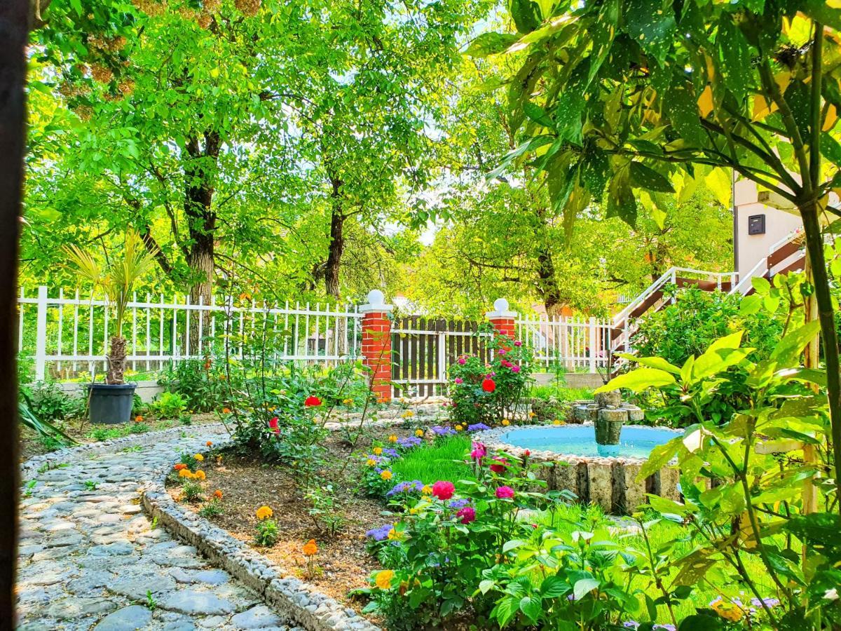 קונייץ' Spago Apartment מראה חיצוני תמונה